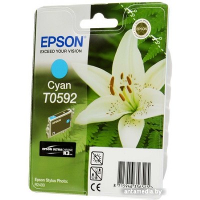 Картридж Epson C13T05924010