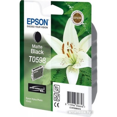 Картридж Epson C13T05984010