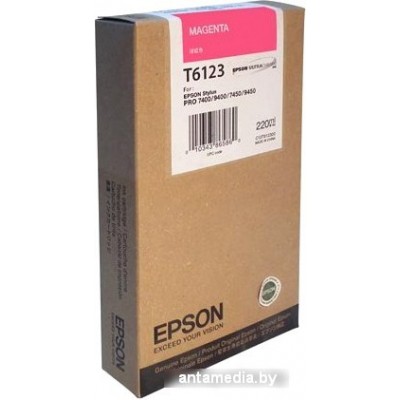 Картридж Epson C13T612300