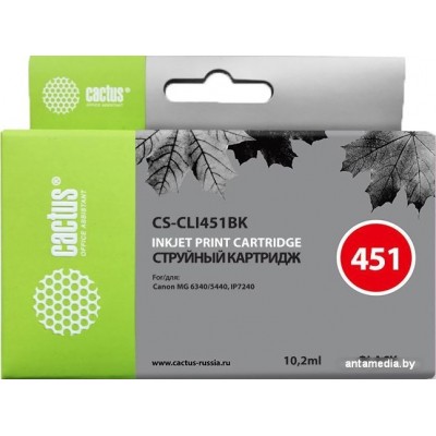 Картридж CACTUS CS-CLI451BK (аналог Canon CLI-451BK)