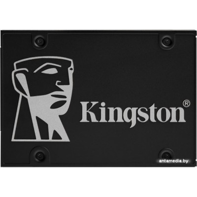 SSD Kingston KC600 256GB SKC600/256G