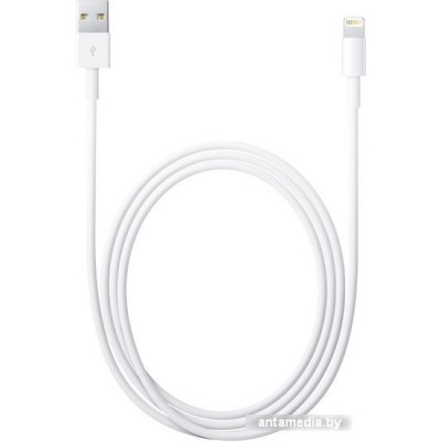 Кабель Apple Lightning/USB MD819
