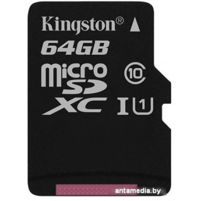 Карта памяти Kingston microSDXC UHS-I (Class 10) 64GB [SDC10G2/64GBSP]