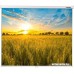 Проекционный экран Lumien Eco Picture 120x160 LEP-100111