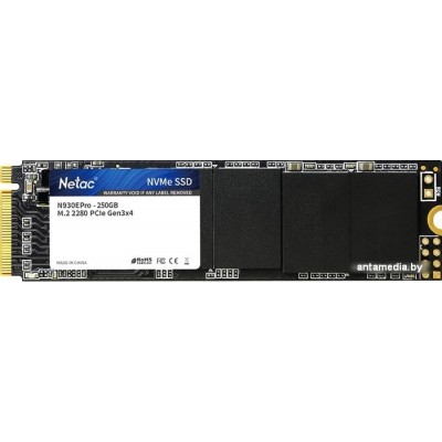 SSD Netac N930E PRO 256GB