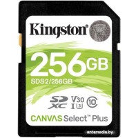Карта памяти Kingston Canvas Select Plus SDXC 256GB