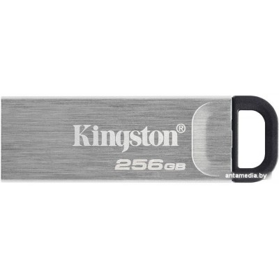 USB Flash Kingston Kyson 256GB