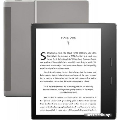 Электронная книга Amazon Kindle Oasis 2019 32GB (серый)
