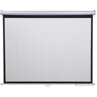 Проекционный экран Future Vision Cinema 270x152 W270HMW