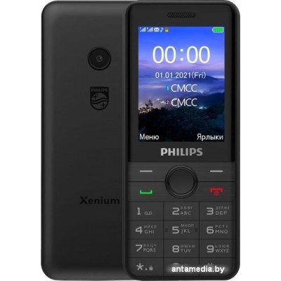Смартфон Philips Xenium E172 (черный)