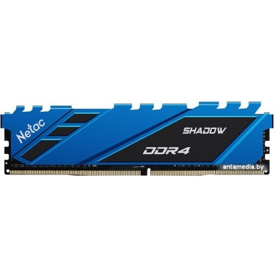 Оперативная память Netac Shadow 16ГБ DDR4 3200 МГц NTSDD4P32SP-16B