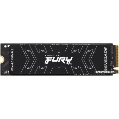 SSD Kingston Fury Renegade 500GB SFYRS/500G