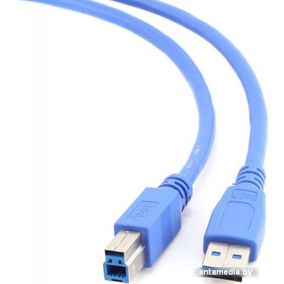 Кабель Cablexpert CCP-USB3-AMBM-6