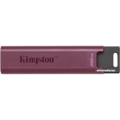 USB Flash Kingston DataTraveler Max Type-A 256GB