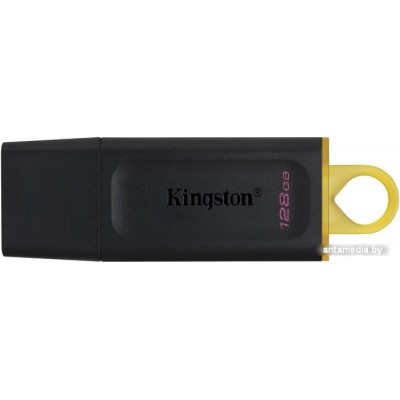 USB Flash Kingston Exodia 128GB