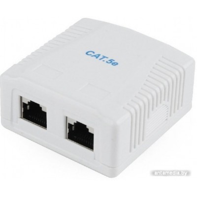 Разветвитель Cablexpert NCAC-2F5E-01