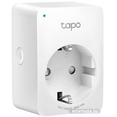 Умная розетка TP-Link Tapo P100