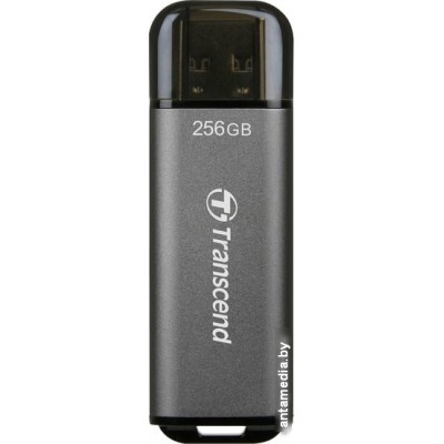 USB Flash Transcend JetFlash 920 256GB