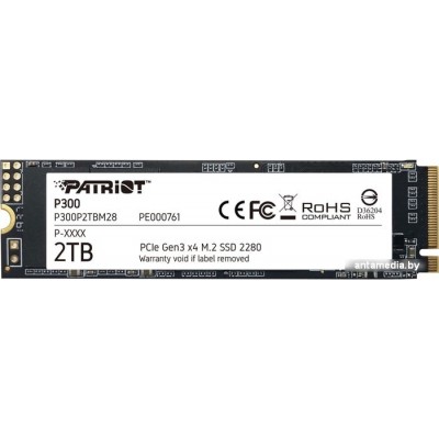 SSD Patriot P300 2TB P300P2TBM28