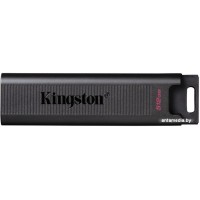 USB Flash Kingston DataTraveler Max 512GB