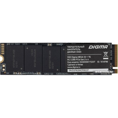 SSD Digma Mega S3 1TB DGSM3001TS33T