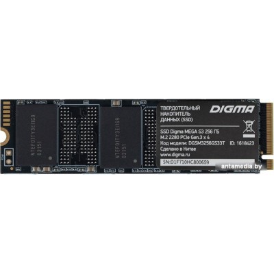 SSD Digma Mega S3 256GB DGSM3256GS33T