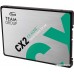 SSD Team CX2 256GB T253X6256G0C101