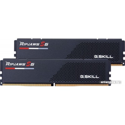 Оперативная память G.Skill Ripjaws S5 2x32ГБ DDR5 5600 МГц F5-5600J3636D32GX2-RS5K