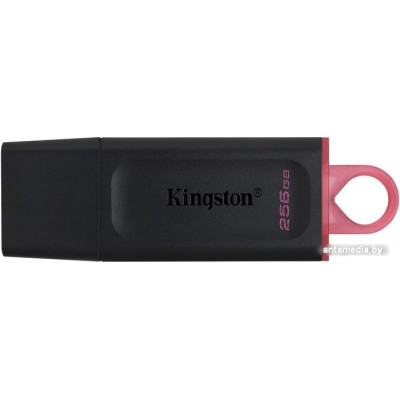 USB Flash Kingston Exodia 256GB