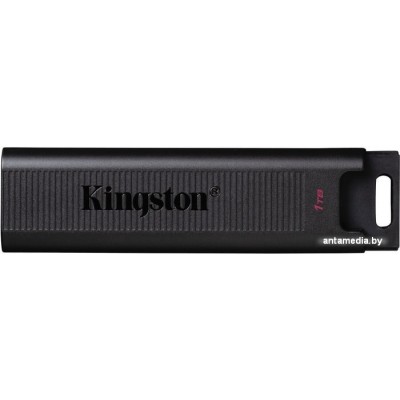 USB Flash Kingston DataTraveler Max 1TB