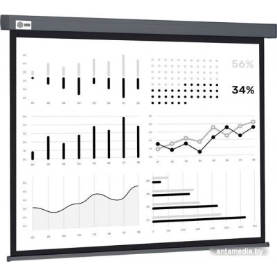 Проекционный экран CACTUS Wallscreen 180x180 CS-PSW-180X180-SG
