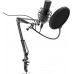 Микрофон Ritmix RDM-180