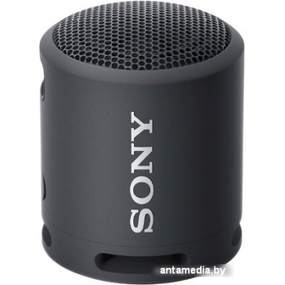 Беспроводная колонка Sony SRS-XB13 (черный)