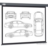 Проекционный экран CACTUS Wallscreen 168x299 CS-PSW-168X299-SG
