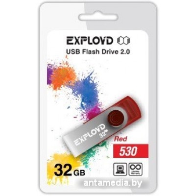 USB Flash Exployd 530 32GB (красный) [EX032GB530-R]