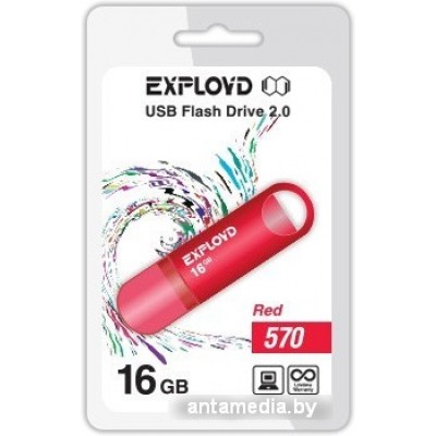USB Flash Exployd 570 16GB (красный) [EX-16GB-570-Red]