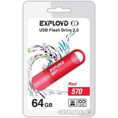 USB Flash Exployd 570 64GB (красный) [EX-64GB-570-Red]