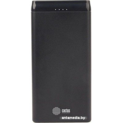 Портативное зарядное устройство CACTUS CS-PBFSFT-10000 (черный)