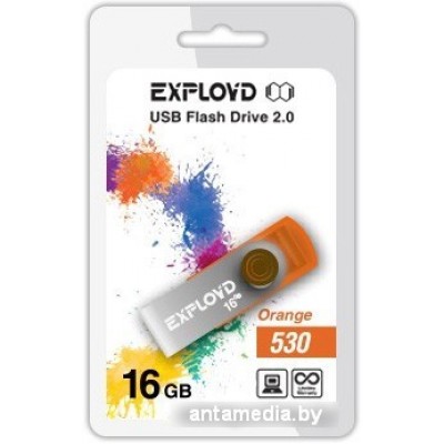 USB Flash Exployd 530 16GB (оранжевый) [EX016GB530-O]