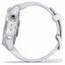 Умные часы Garmin Fenix 7S 42 мм (серебристый/белый)