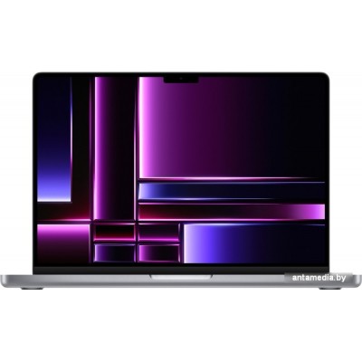 Ноутбук Apple Macbook Pro 14" M2 Pro 2023 MPHE3