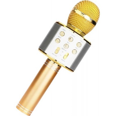 Микрофон Wster WS-858 (золотистый)
