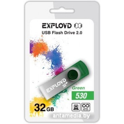 USB Flash Exployd 530 32GB (зеленый) [EX032GB530-G]