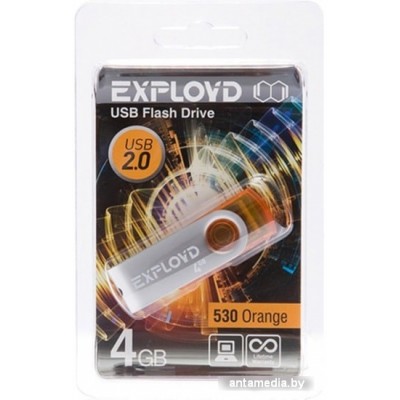 USB Flash Exployd 530 4GB (оранжевый)