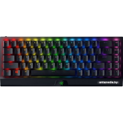 Клавиатура Razer Blackwidow V3 Mini HyperSpeed Green Switch