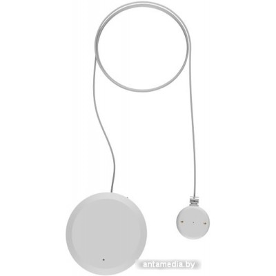 Датчик Ritmix SDT-300-Tuya