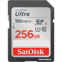 Карта памяти SanDisk Ultra SDXC SDSDUNC-256G-GN6IN 256GB