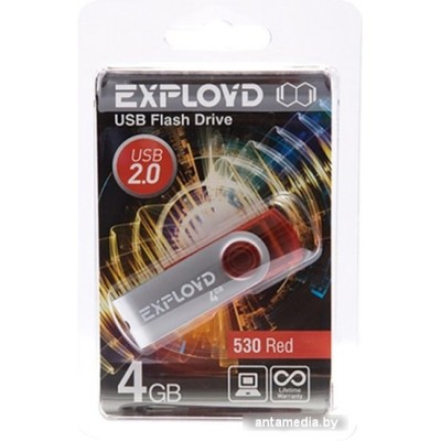 USB Flash Exployd 530 4GB (красный)