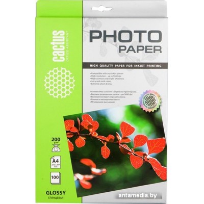Фотобумага CACTUS Глянцевая A4 200 г/кв.м. 100 листов(CS-GA4200100)