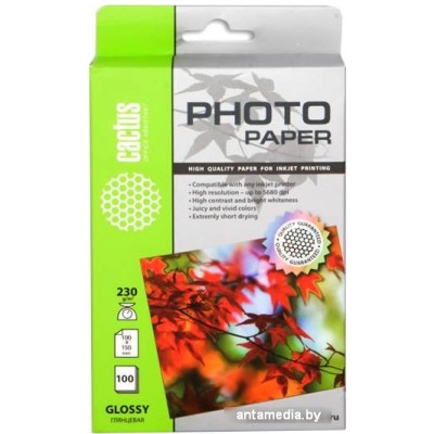 Фотобумага CACTUS Глянцевая A6 230 г/кв.м. 100 листов (CS-GA6230100)